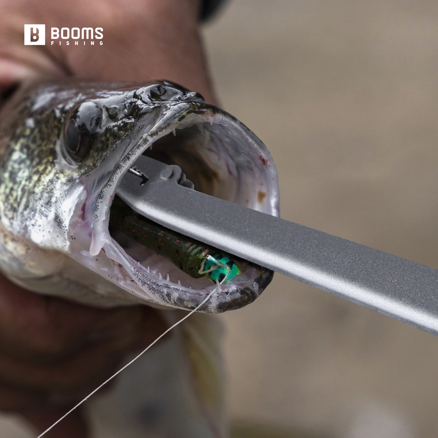 Booms Fishing 25cm Carbon Stee - Fishing Equipment Pictures のレビューと価格