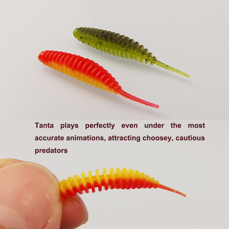 ESFISHING Fishing Tiny Worm Ba - Fishing Equipment For Trout のレビューと価格