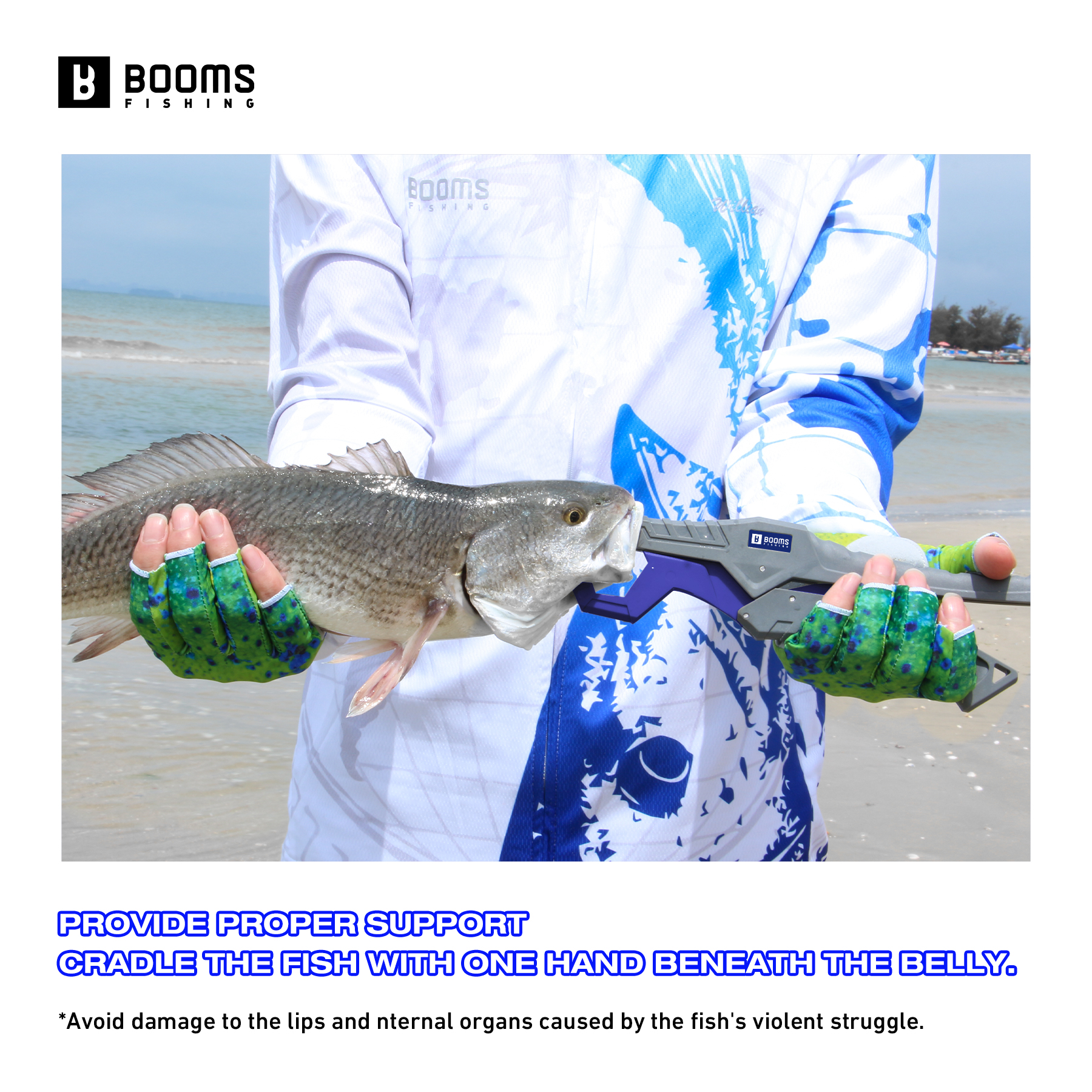 Booms Fishing 23cm Pliers and  - Fishing Equipment Pictures のレビューと価格